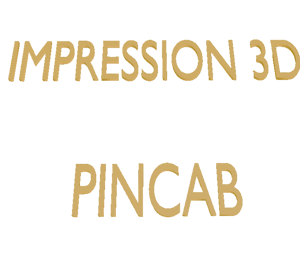 Impression 3D pincab